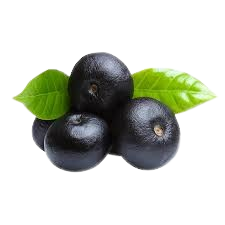 Maqui berries – a natural source of powerful antioxidants.